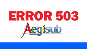 error 503